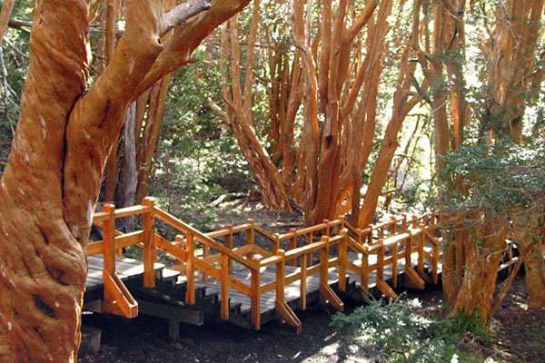 Natural splendor in Bariloche, Argentina