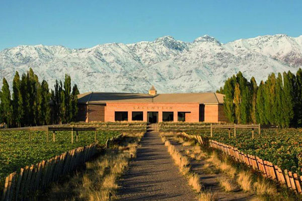 Pleasure and adventure at Hotel Park Hyatt, Mendoza