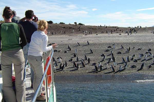 Discovering the magic of landscapes in Ushuaia
