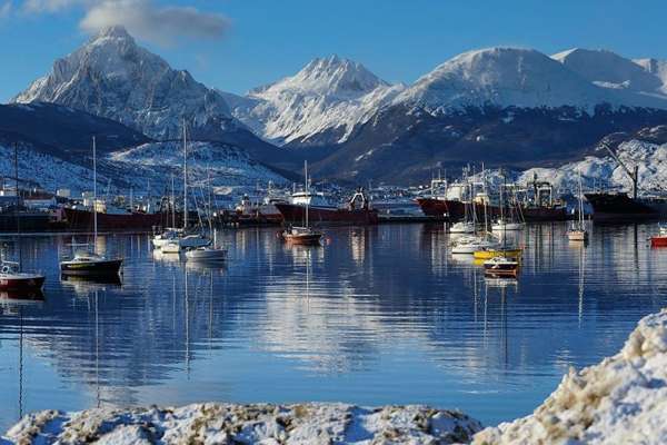 Marveling at the wildlife of Ushuaia