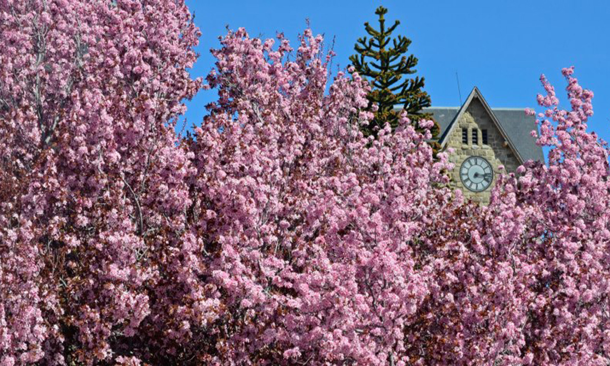 2 ndulge in a luxurious 3-day tour at Bariloche's Llao Llao Hotel & Resort. Enjoy private transfers, guided excursions, and more.