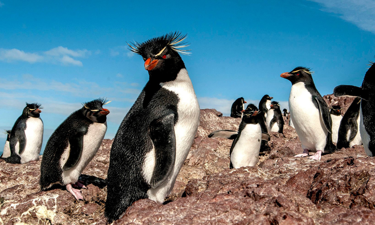 6 Embark on a luxury tour to Ushuaia, Patagonia's southern gem, and indulge in the lavish amenities of 5-star Los Cauquenes Resort