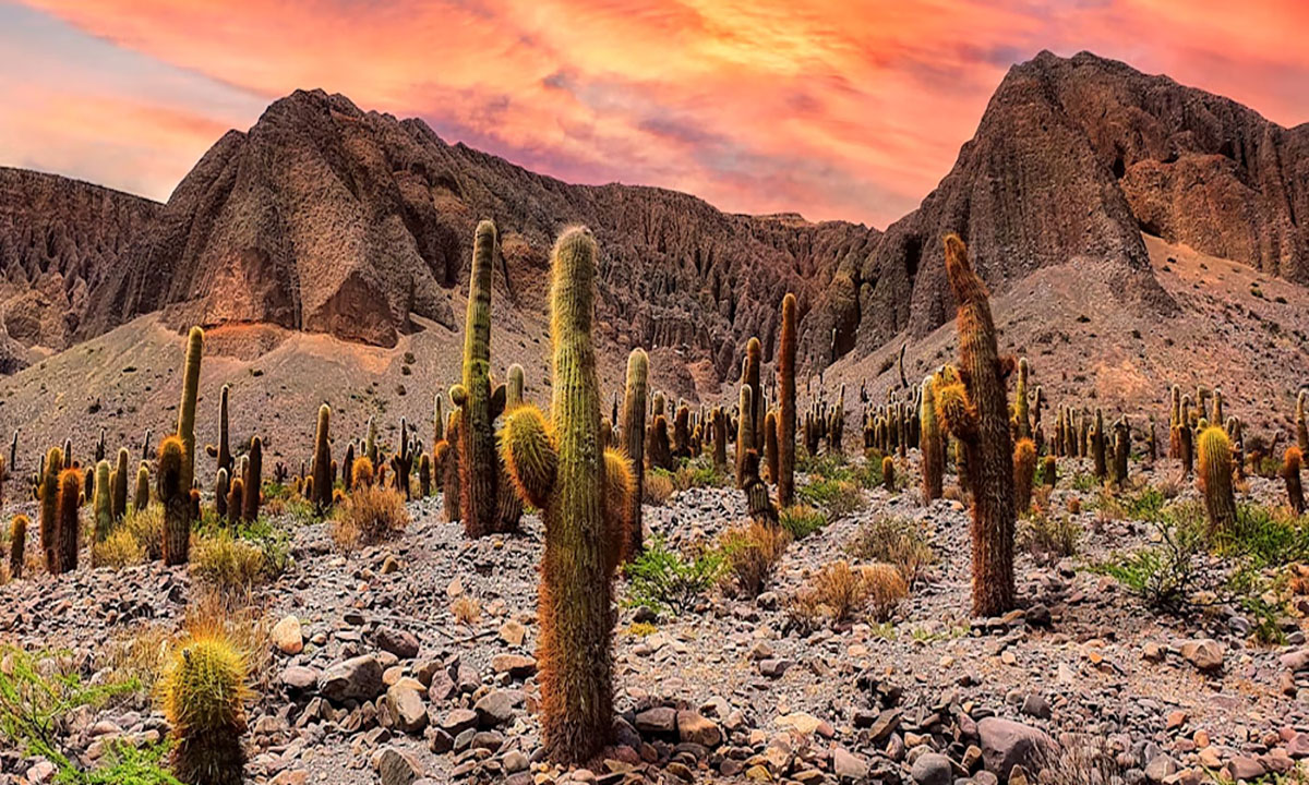 5 Immerse yourself in luxury with a 3-day tour to Salta, Argentina, staying at the prestigious Salta Sheraton Hotel.